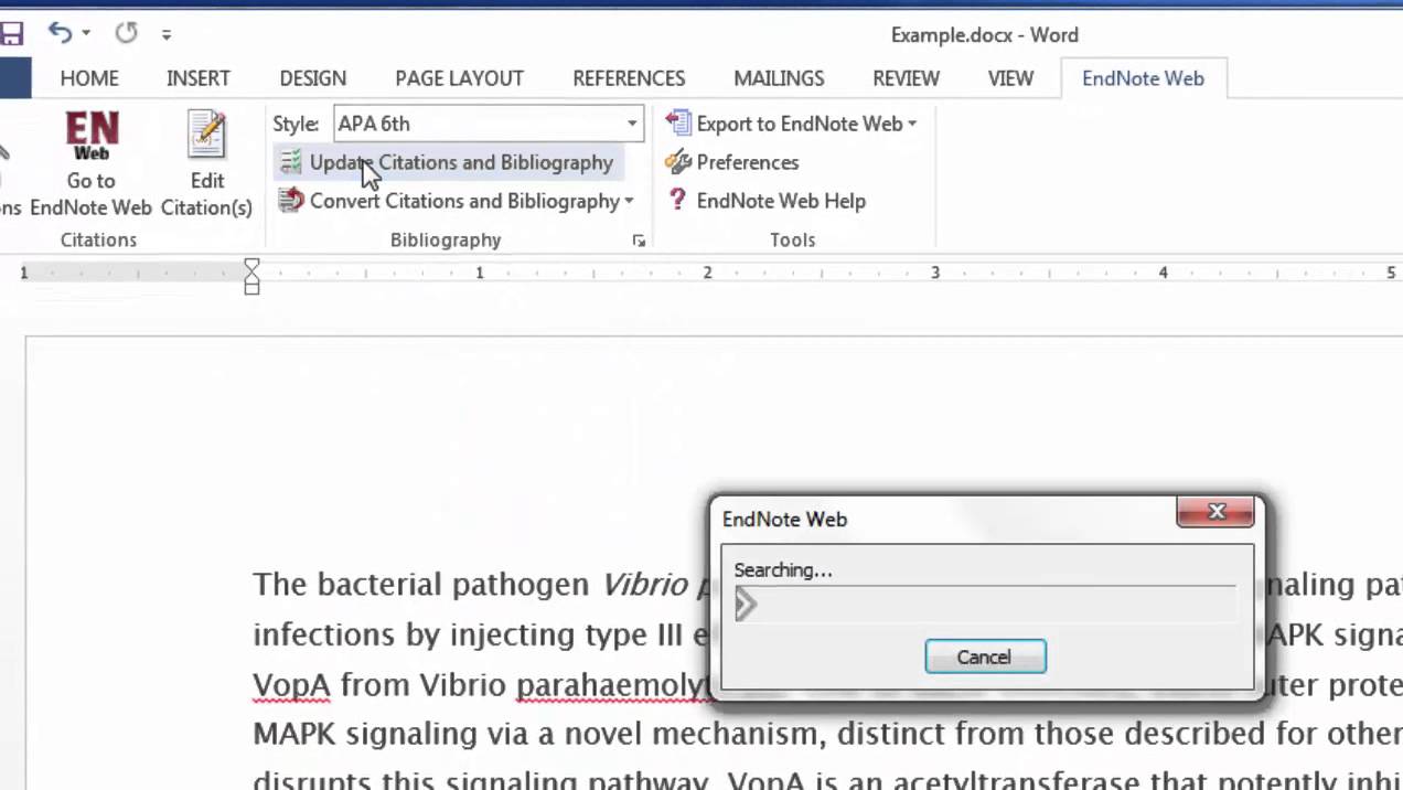 Endnote cite while you write mac download free